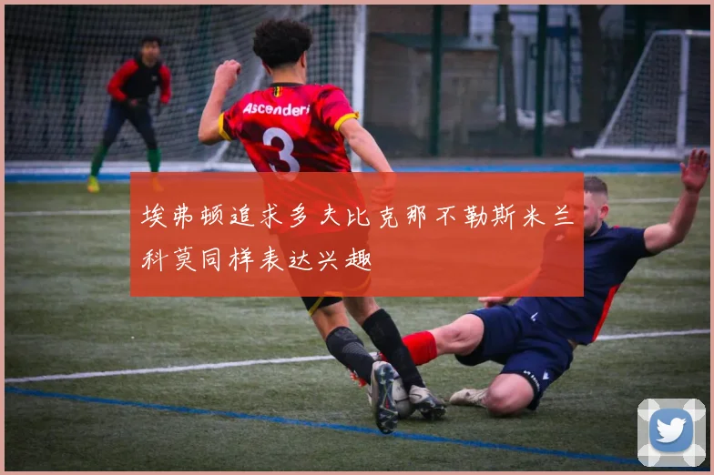 埃弗顿追求多夫比克那不勒斯米兰科莫同样表达兴趣