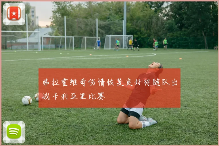 弗拉霍维奇伤情恢复良好将随队出战卡利亚里比赛