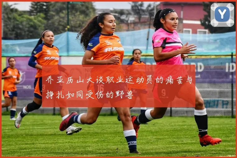 乔亚历山大谈职业运动员的痛苦与挣扎如同受伤的野兽