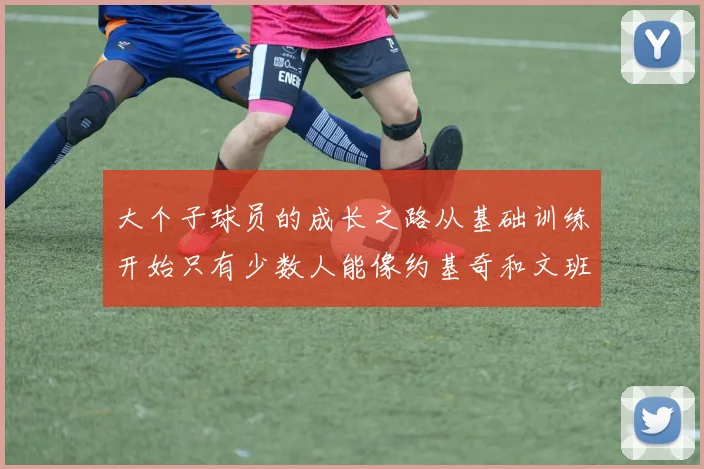 大个子球员的成长之路从基础训练开始只有少数人能像约基奇和文班那样成功